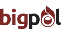BIGPOL